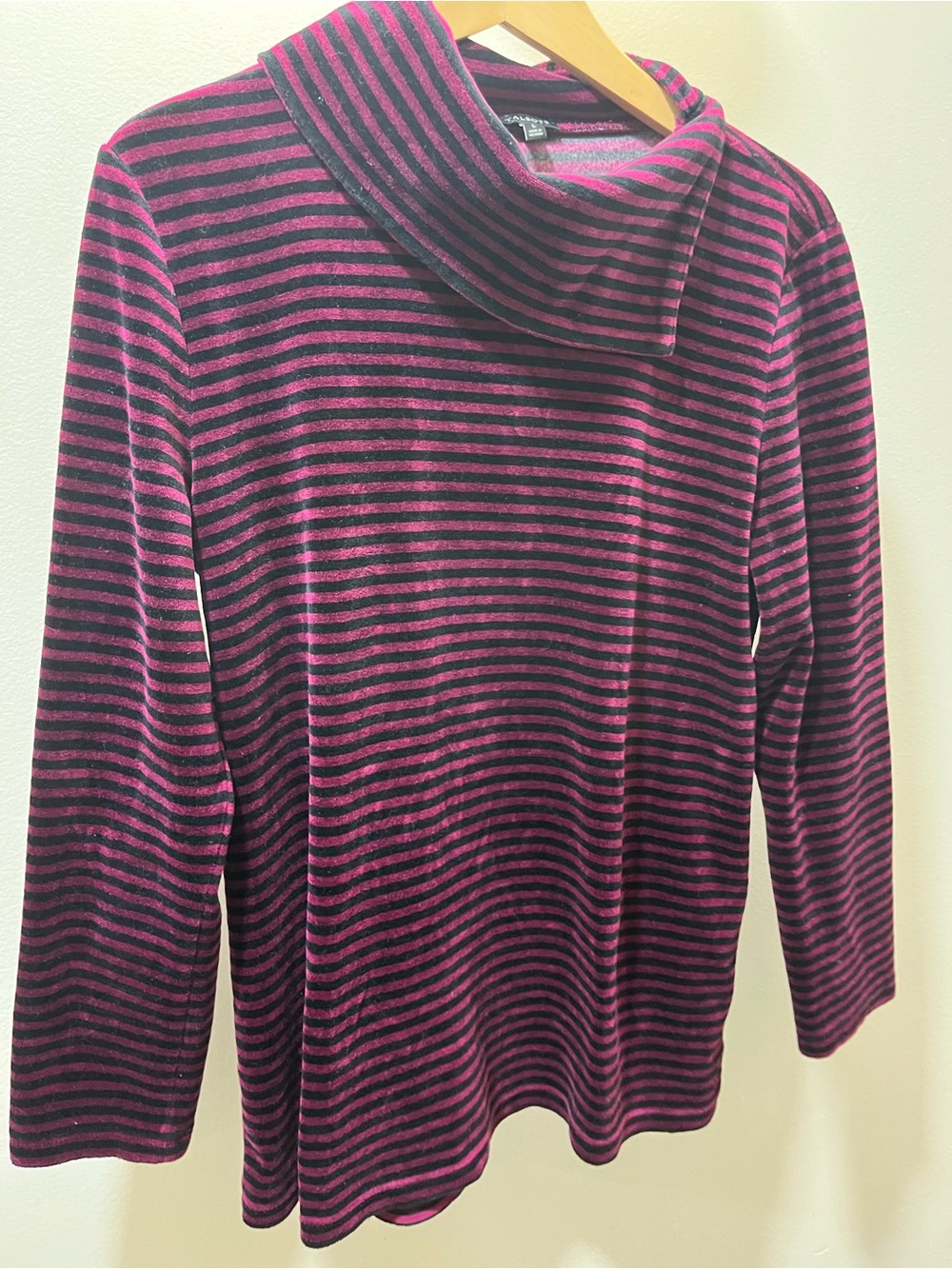 Talbots Velour Burgundy and Black Striped A-symmetrical Neck Long Sleeve Top